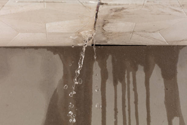 Professional Structural Drying technician working in Alba, MO